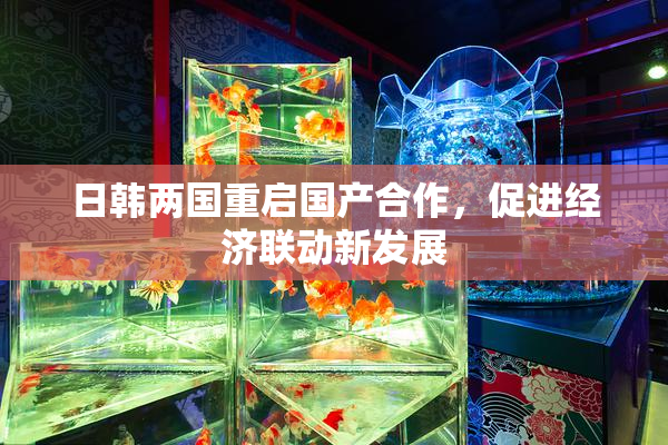 日韩两国重启国产合作，促进经济联动新发展