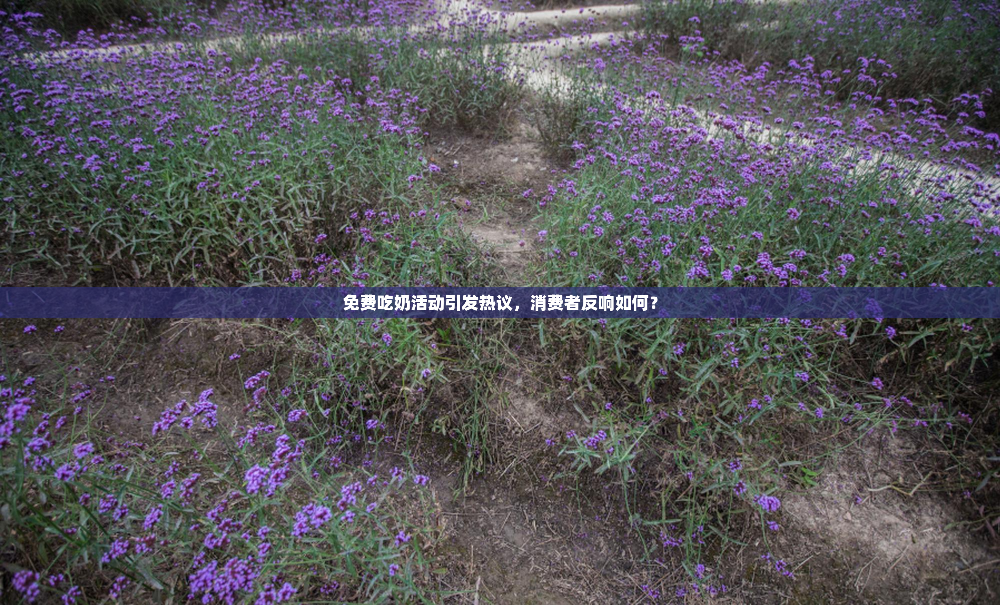 免费吃奶活动引发热议，消费者反响如何？