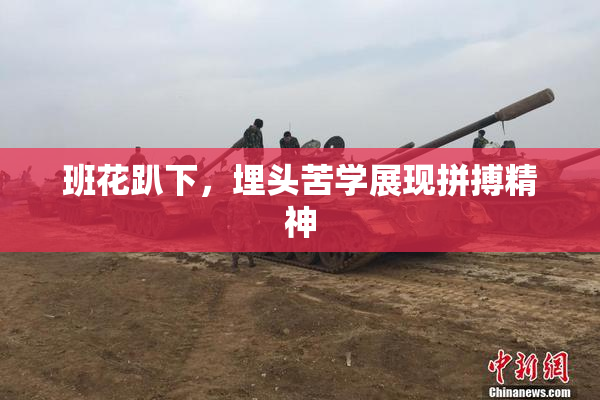 班花趴下，埋头苦学展现拼搏精神