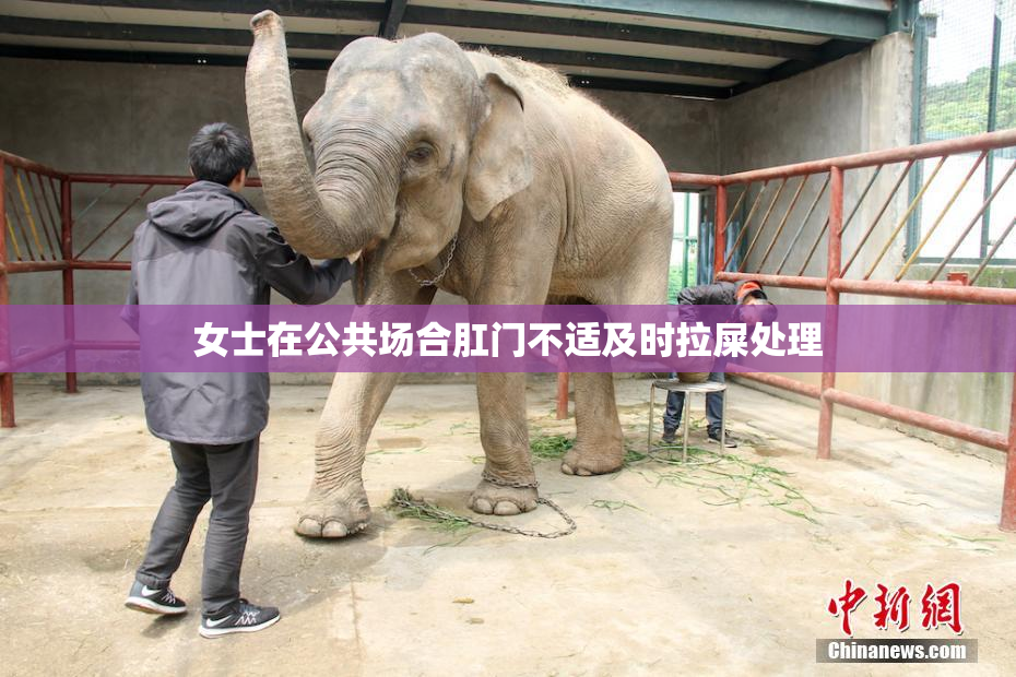 女士在公共场合肛门不适及时拉屎处理
