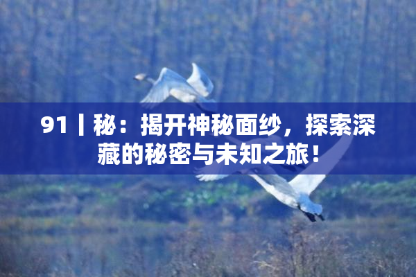 91丨秘：揭开神秘面纱，探索深藏的秘密与未知之旅！