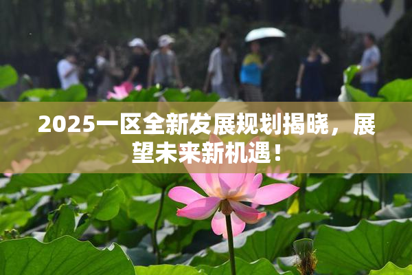 2025一区全新发展规划揭晓，展望未来新机遇！