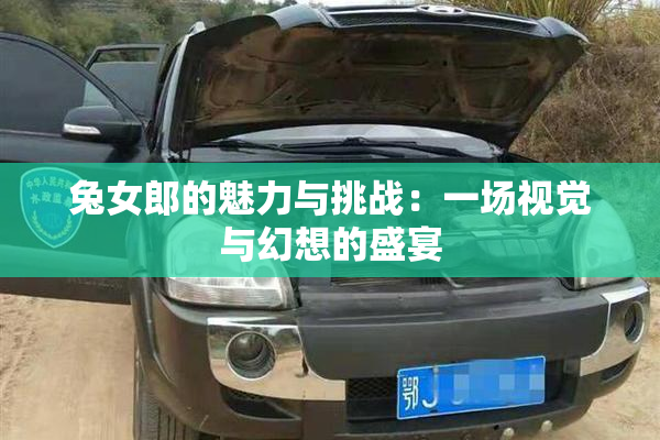 兔女郎的魅力与挑战：一场视觉与幻想的盛宴