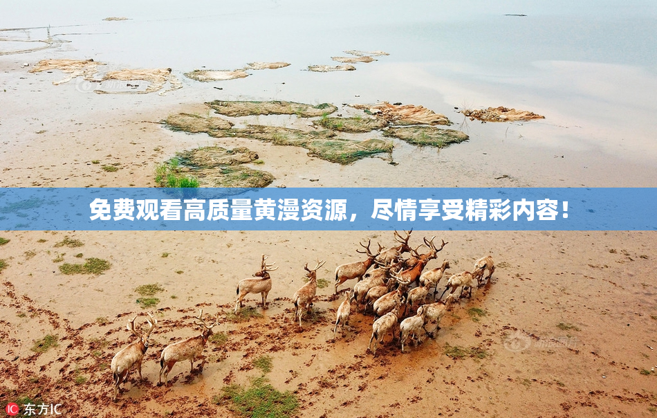 免费观看高质量黄漫资源，尽情享受精彩内容！