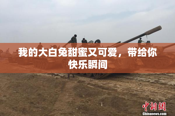 我的大白兔甜蜜又可爱，带给你快乐瞬间