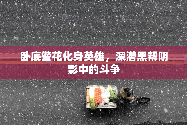 卧底警花化身英雄，深潜黑帮阴影中的斗争