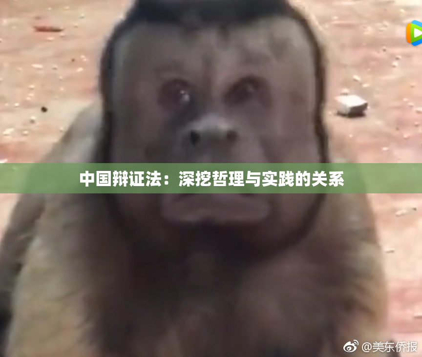 中国辩证法：深挖哲理与实践的关系