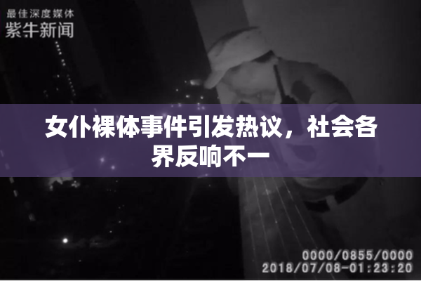 女仆裸体事件引发热议，社会各界反响不一