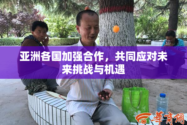 亚洲各国加强合作，共同应对未来挑战与机遇