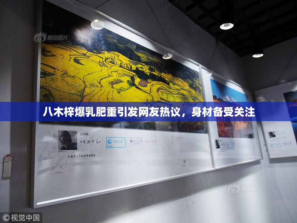 八木梓爆乳肥重引发网友热议，身材备受关注