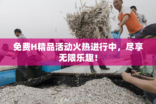 免费H精品活动火热进行中，尽享无限乐趣！