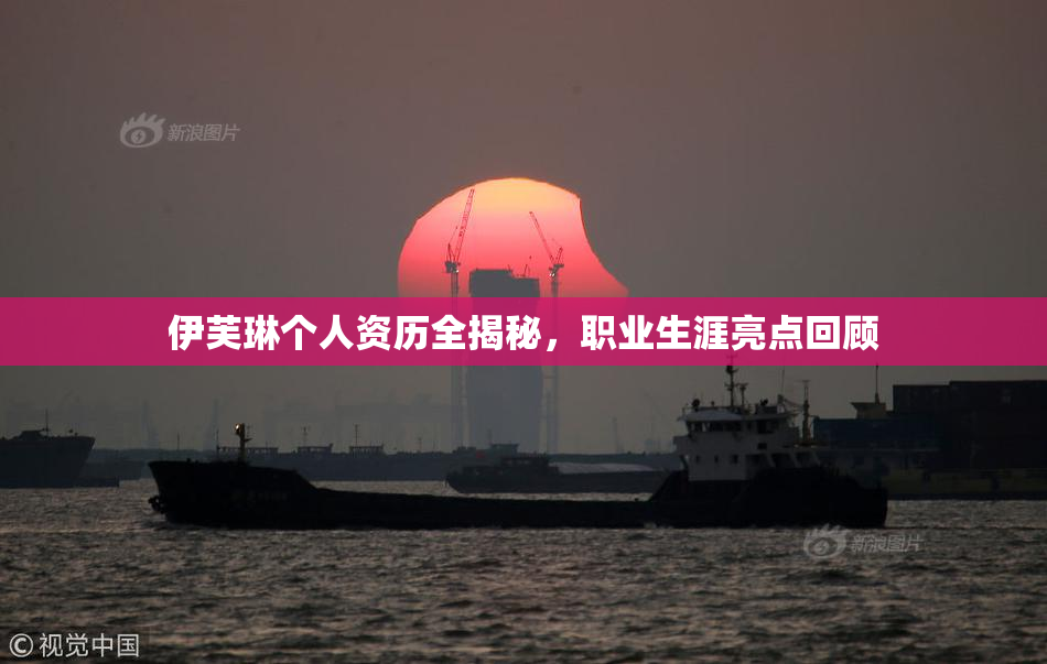 伊芙琳个人资历全揭秘，职业生涯亮点回顾