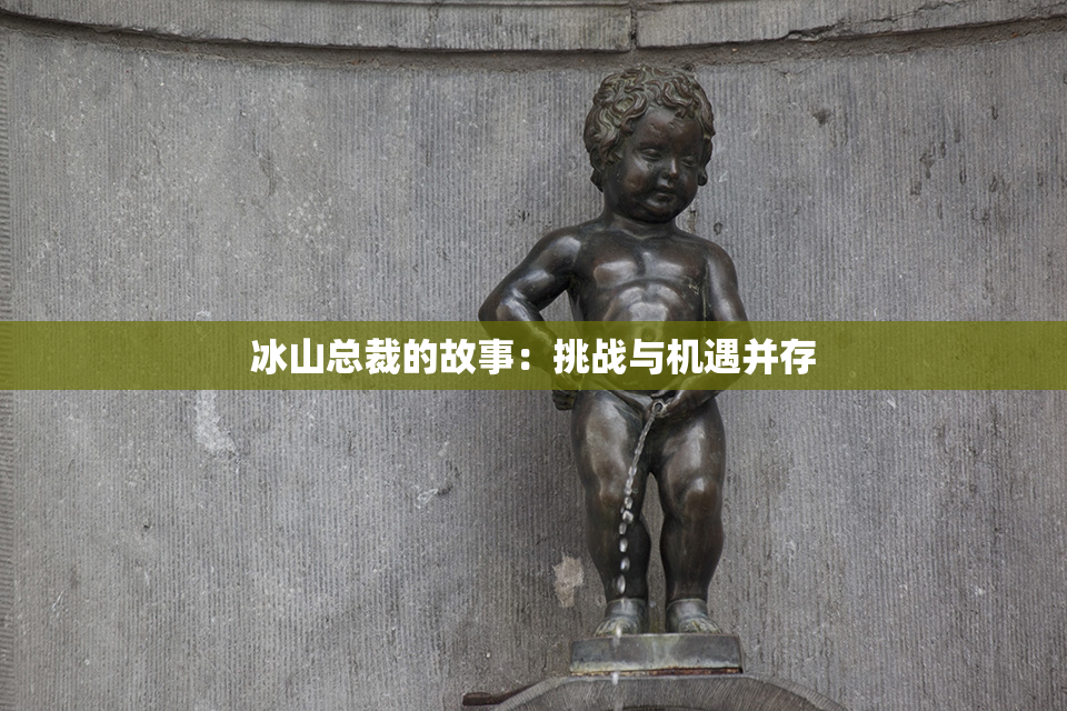 冰山总裁的故事：挑战与机遇并存