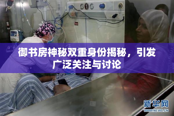御书房神秘双重身份揭秘，引发广泛关注与讨论