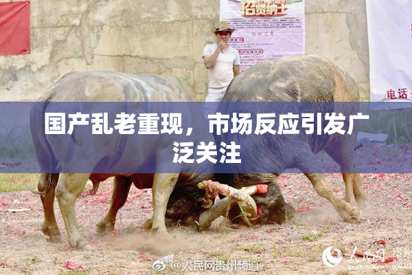 国产乱老重现，市场反应引发广泛关注