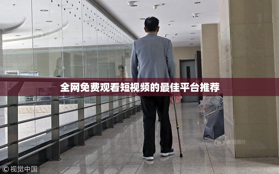 全网免费观看短视频的最佳平台推荐