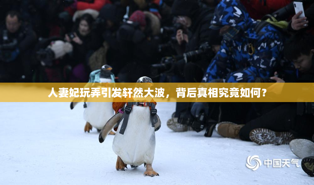 人妻妃玩弄引发轩然大波，背后真相究竟如何？