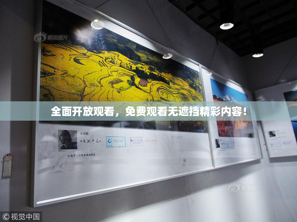 全面开放观看，免费观看无遮挡精彩内容！