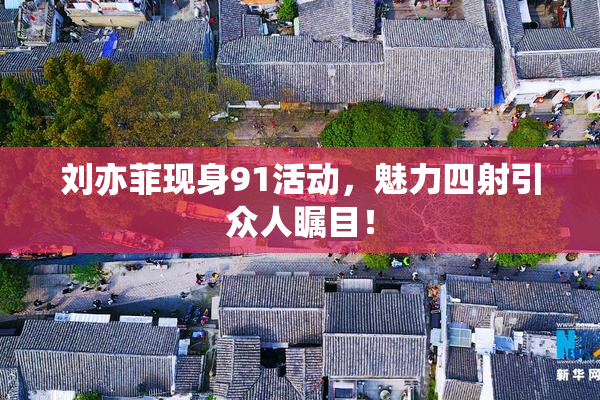 刘亦菲现身91活动，魅力四射引众人瞩目！