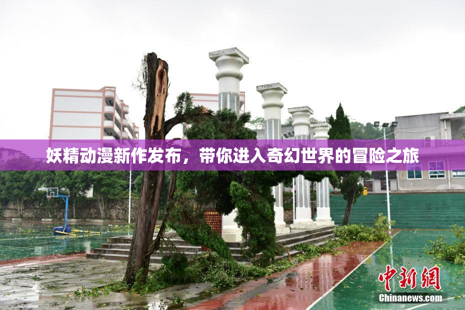 妖精动漫新作发布，带你进入奇幻世界的冒险之旅