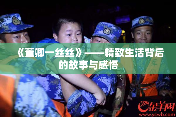 《董卿一丝丝》——精致生活背后的故事与感悟