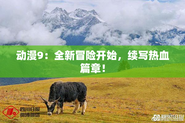 动漫9：全新冒险开始，续写热血篇章！