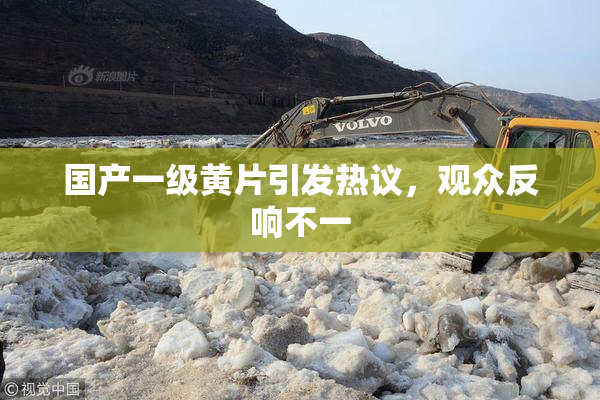 国产一级黄片引发热议，观众反响不一