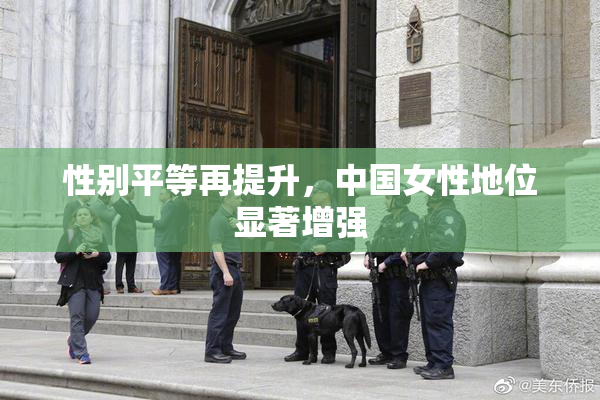 性别平等再提升，中国女性地位显著增强