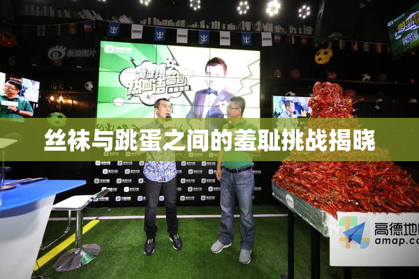 丝袜与跳蛋之间的羞耻挑战揭晓