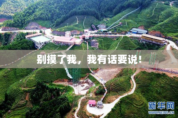 别摸了我，我有话要说！
