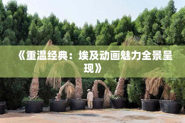 《重温经典：埃及动画魅力全景呈现》