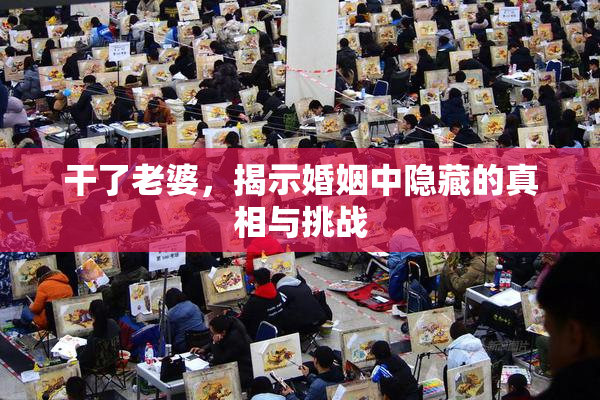 干了老婆，揭示婚姻中隐藏的真相与挑战