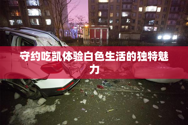 守约吃凯体验白色生活的独特魅力