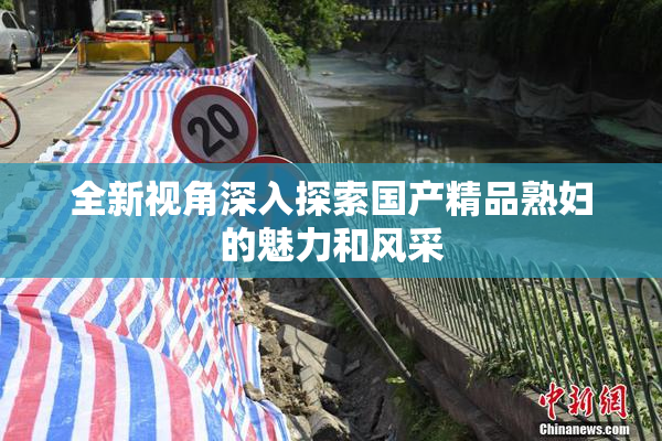 全新视角深入探索国产精品熟妇的魅力和风采