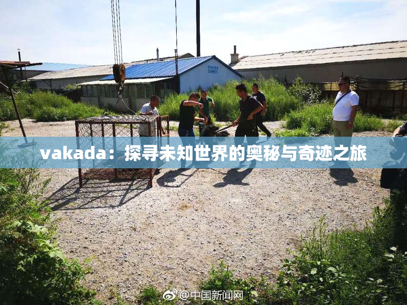 vakada：探寻未知世界的奥秘与奇迹之旅