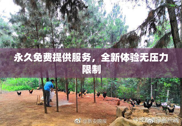 永久免费提供服务，全新体验无压力限制