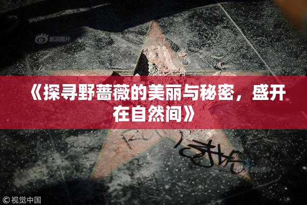 《探寻野蔷薇的美丽与秘密，盛开在自然间》