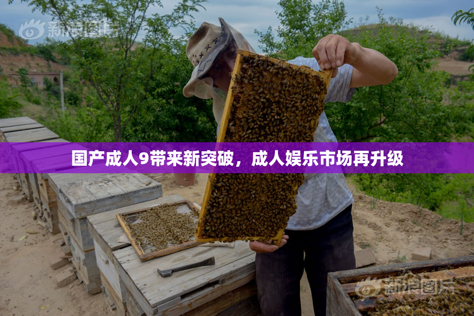 国产成人9带来新突破，成人娱乐市场再升级