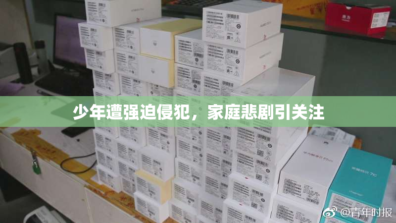 少年遭强迫侵犯，家庭悲剧引关注