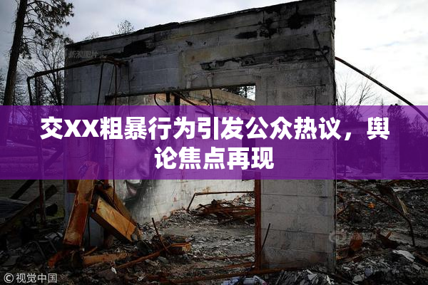 交XX粗暴行为引发公众热议，舆论焦点再现