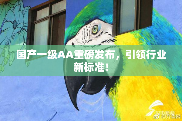 国产一级AA重磅发布，引领行业新标准！