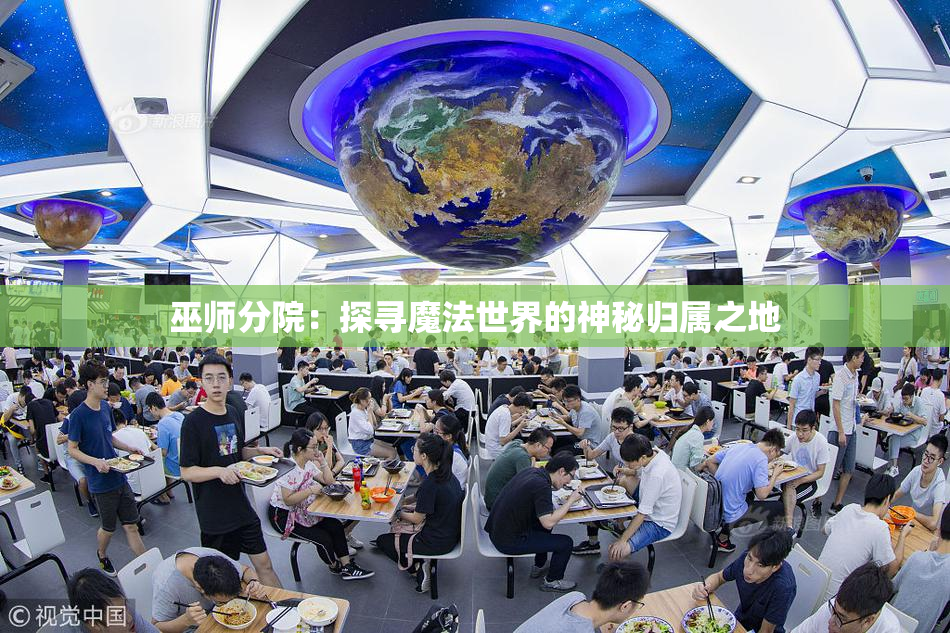 巫师分院：探寻魔法世界的神秘归属之地