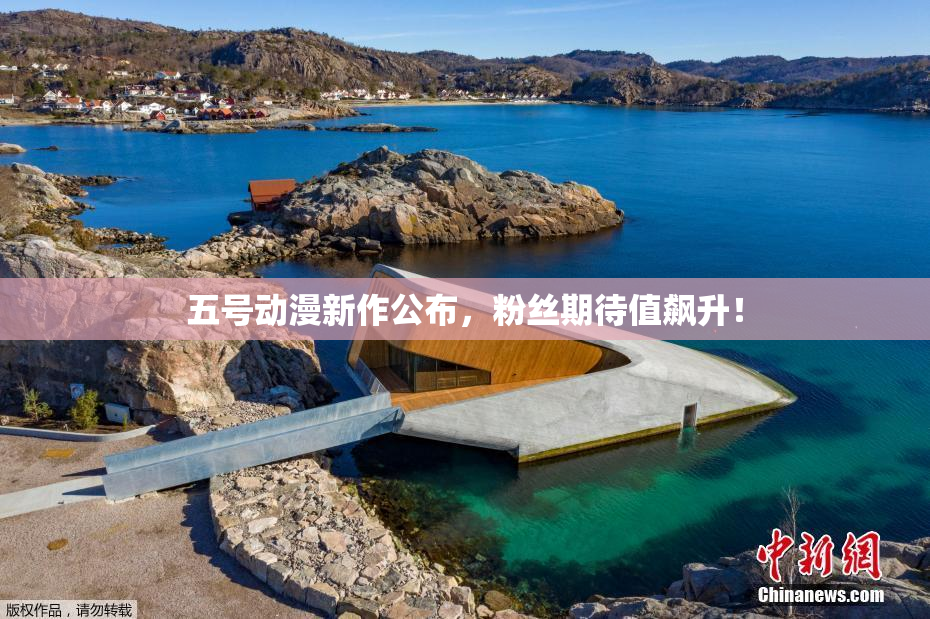五号动漫新作公布，粉丝期待值飙升！