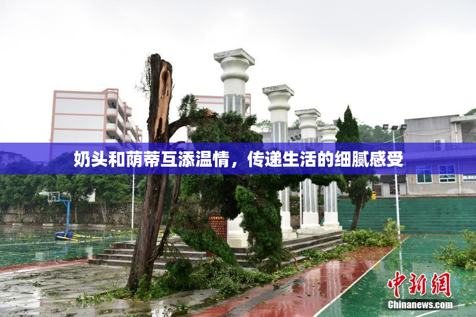 奶头和荫蒂互添温情，传递生活的细腻感受