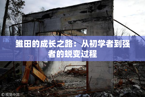 雏田的成长之路：从初学者到强者的蜕变过程