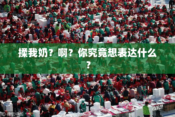 揉我奶？啊？你究竟想表达什么？