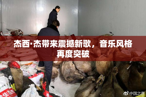 杰西·杰带来震撼新歌，音乐风格再度突破