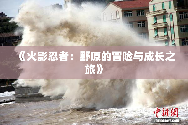 《火影忍者：野原的冒险与成长之旅》