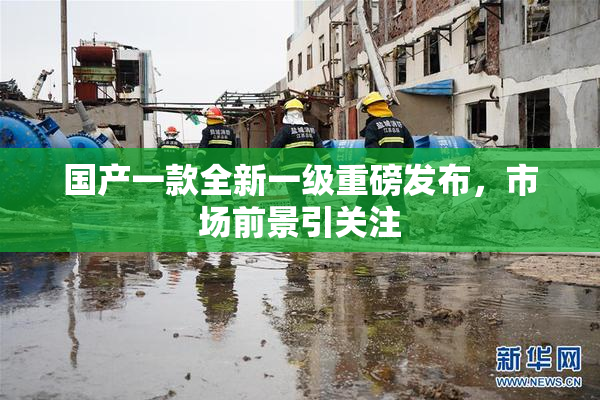 国产一款全新一级重磅发布，市场前景引关注