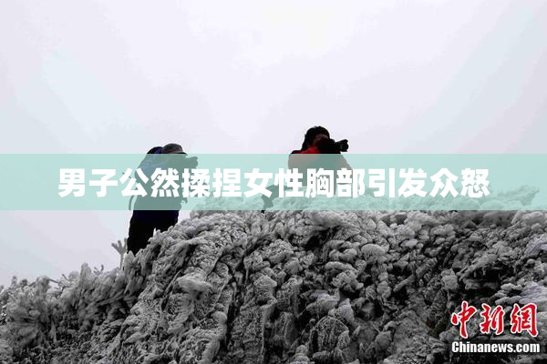 男子公然揉捏女性胸部引发众怒